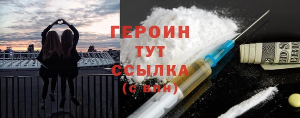 мдпв Ладушкин