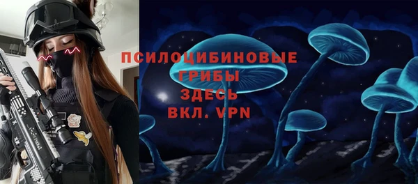 мдпв Ладушкин