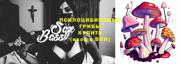 спиды Лагань