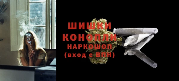 мдпв Ладушкин