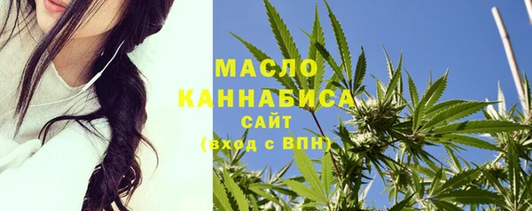 мдпв Ладушкин