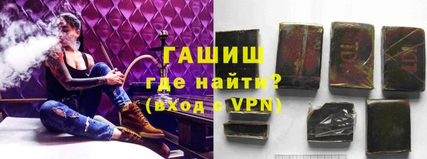 мдпв Ладушкин