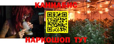 шишки Гусиноозёрск