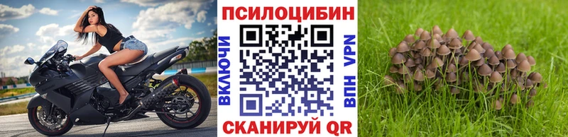 Псилоцибиновые грибы мухоморы  Малоярославец 