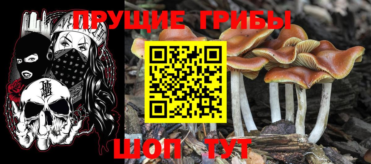 Галлюциногенные грибы GOLDEN TEACHER Малоярославец