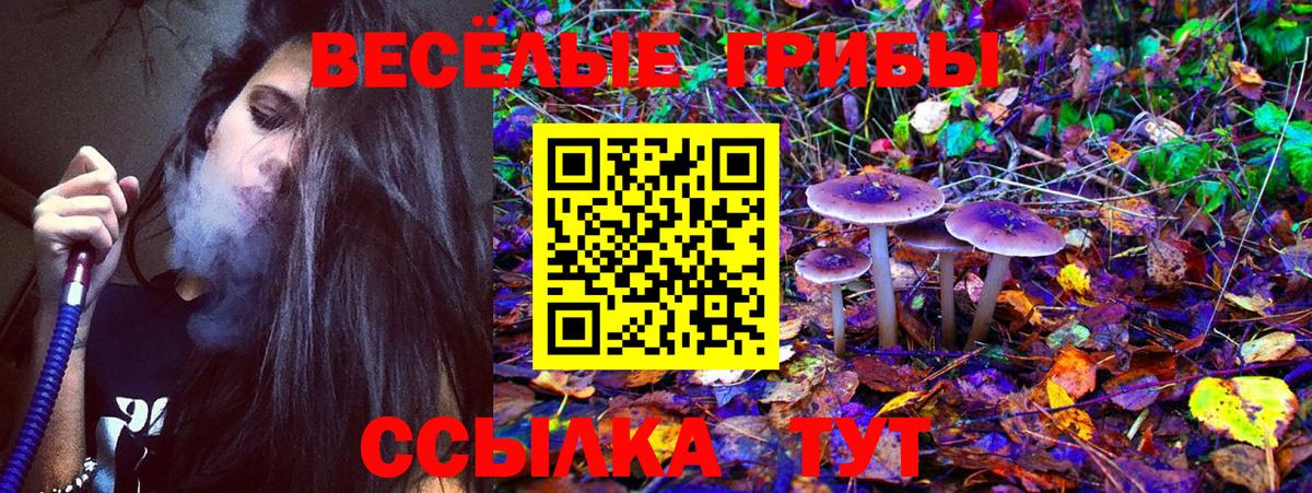 Псилоцибиновые грибы прущие грибы  Вход с VPN  Малоярославец 